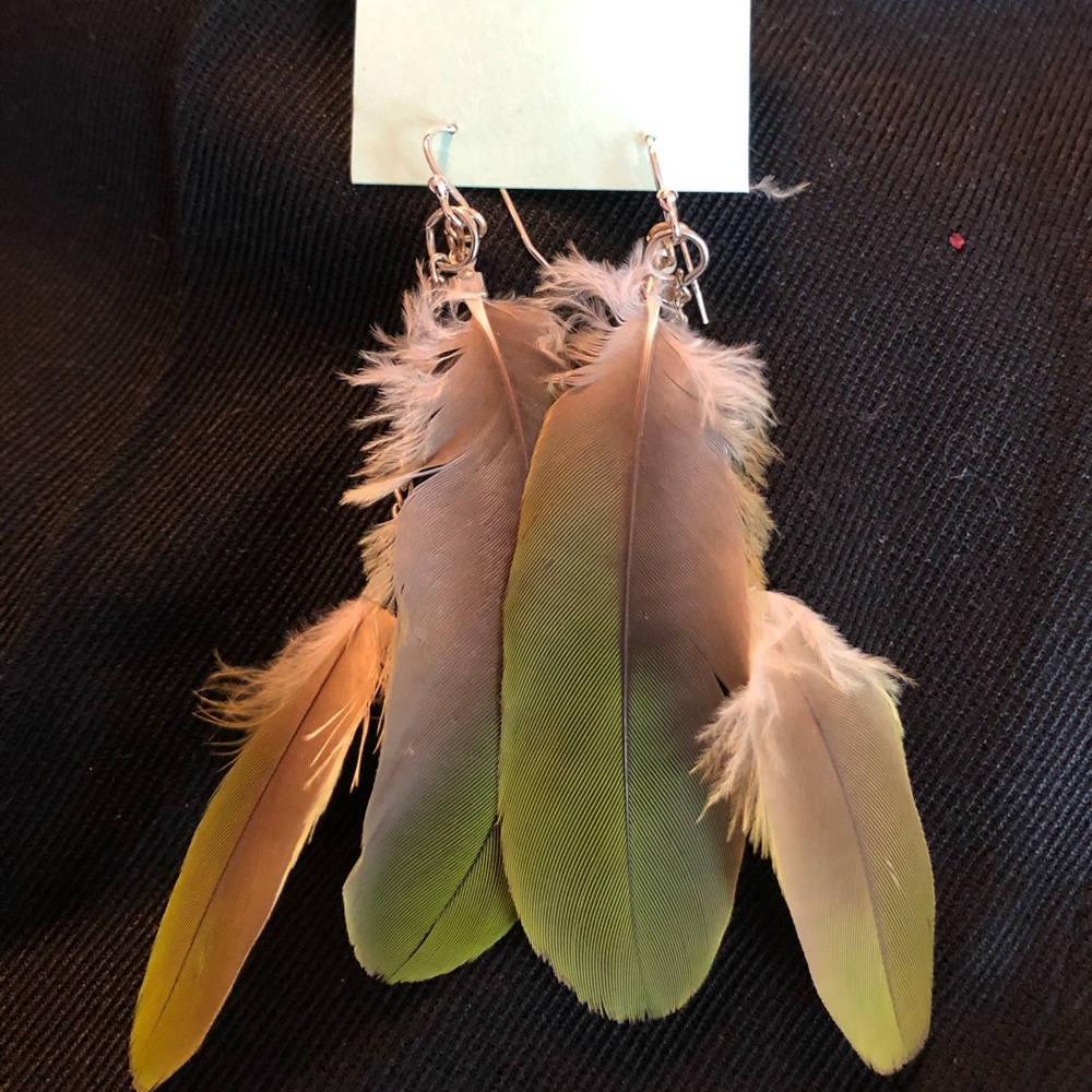 Parrot feather earrings